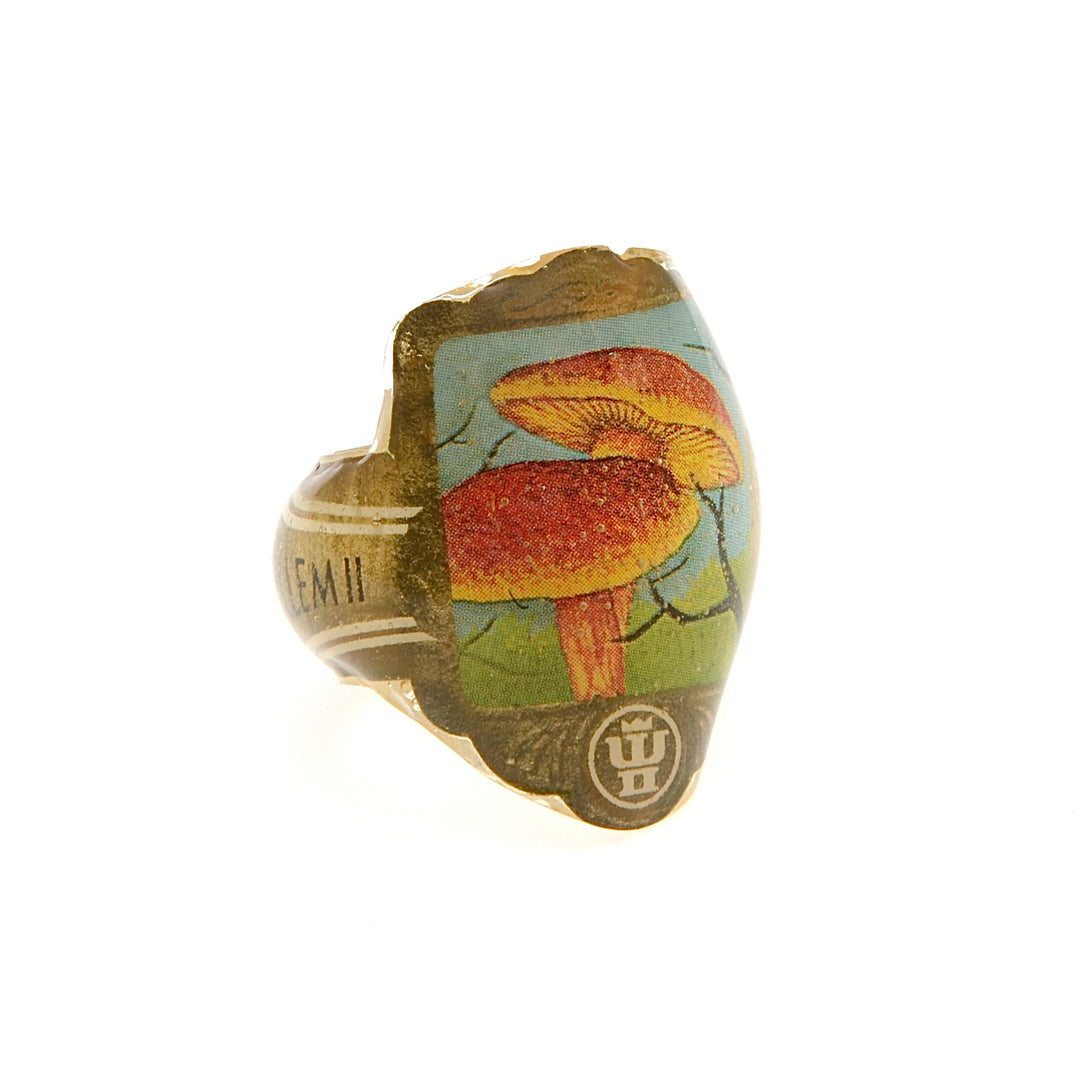 Torcedor 02